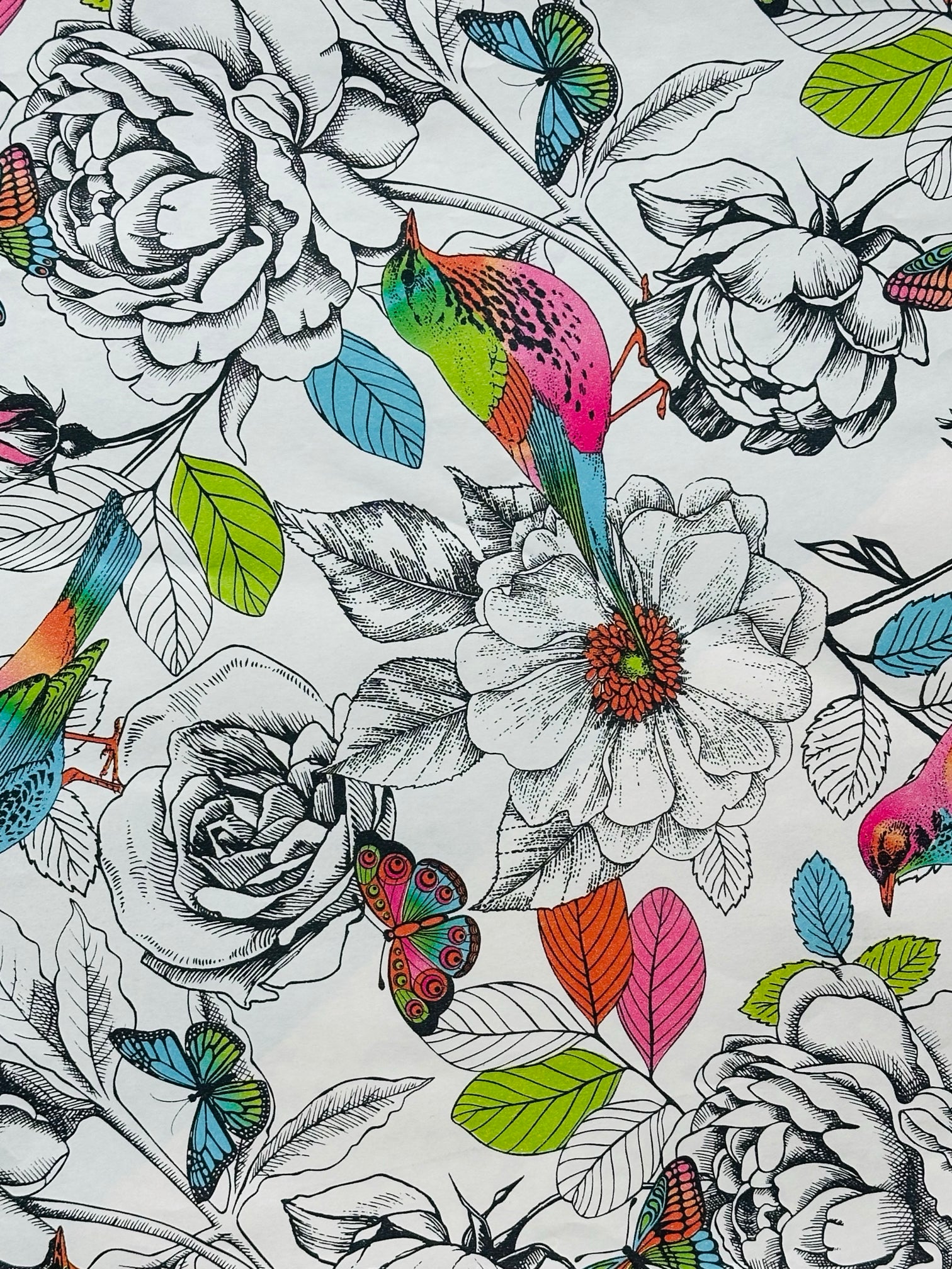 Gift Wrap