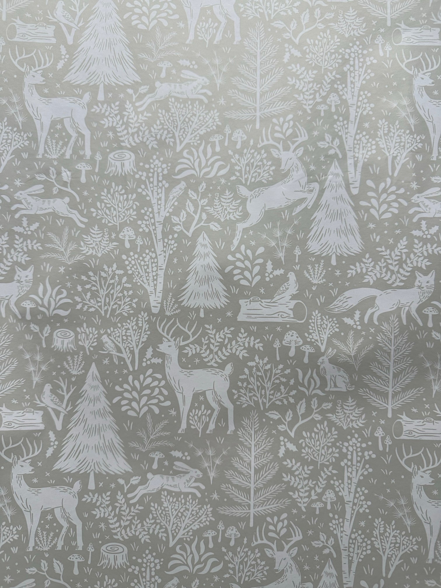 Gift Wrap