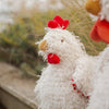 Clucky the Chicken