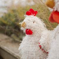 Clucky the Chicken