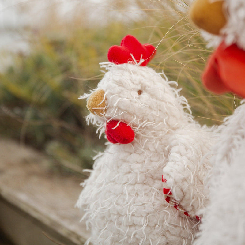 Clucky the Chicken