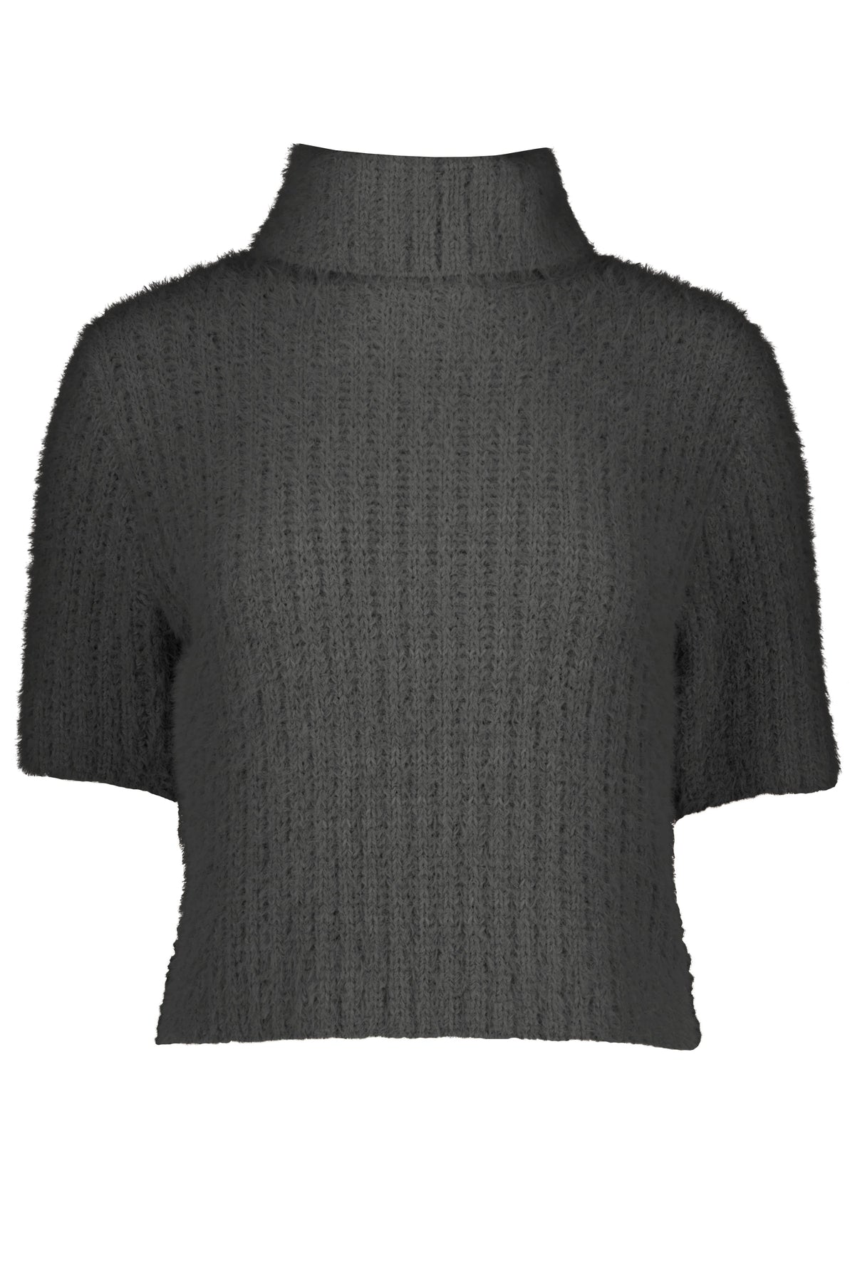 Lily Short Sleeve Turtleneck