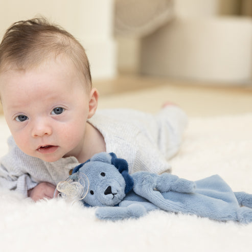 Pacifier Buddy Leo the Lion