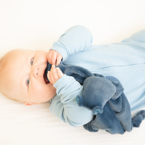 Hippo Teether Buddy