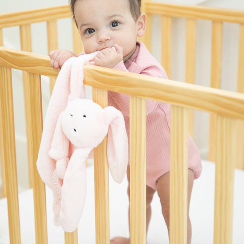 Bunny Teether Buddy