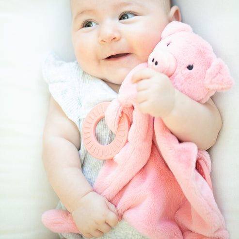 Pig Teether Buddy