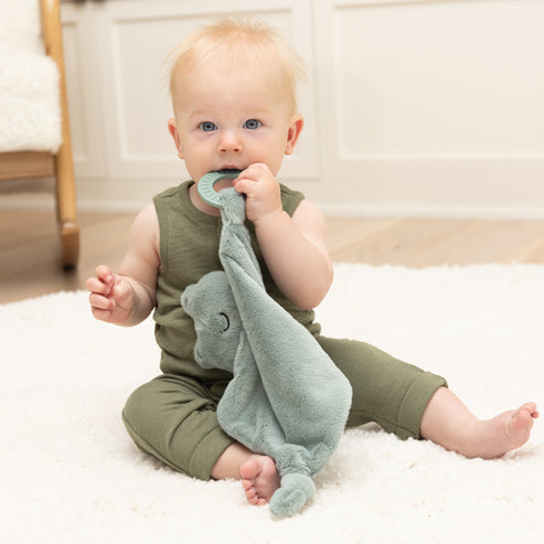 Frog Teether Buddy