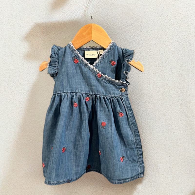 Chambray Ladybug Dress